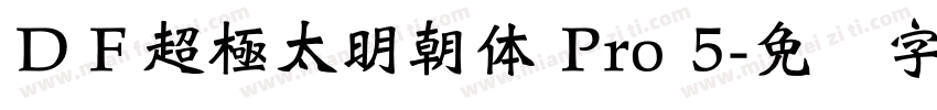 ＤＦ超極太明朝体 Pro 5字体转换